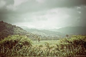 Monteverde-Jeremie-Barlow-Photography-0365-1024x683